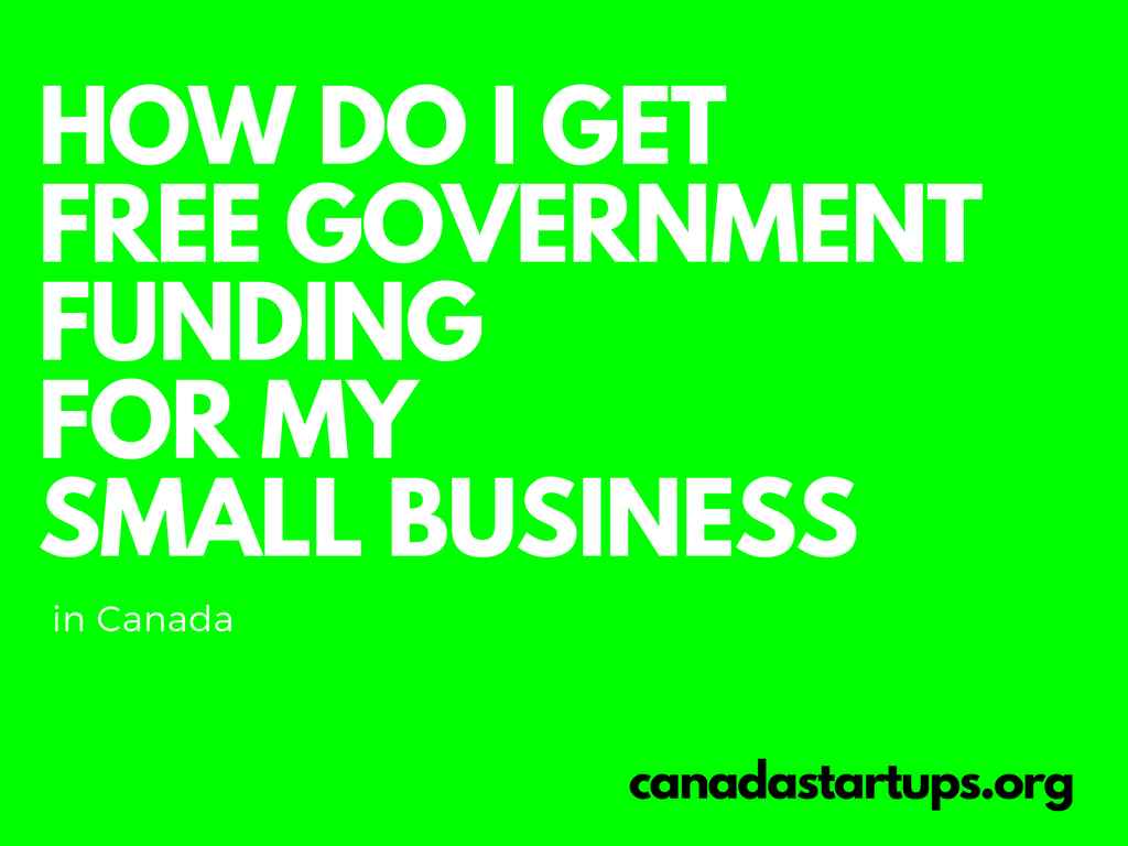 How do I get free government funding for my small business