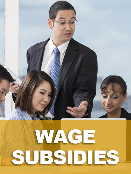 Wage Subsidy Wage Subsidy Programs