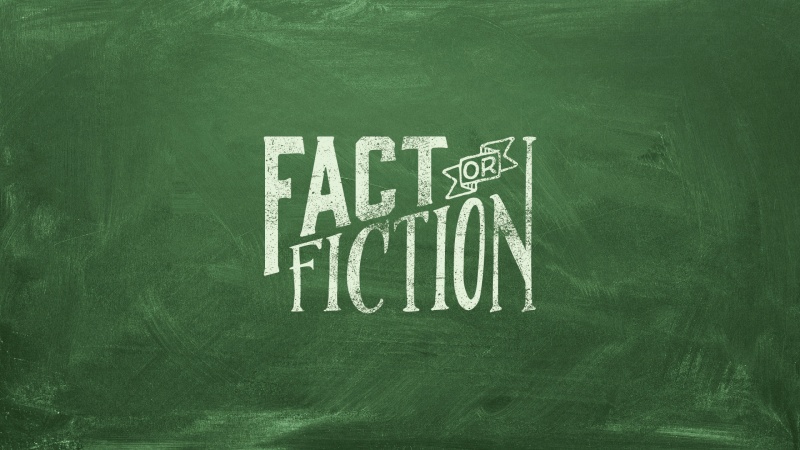 small business government grants fact or fiction