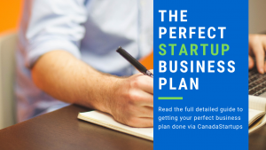 Perfect Startup Business Plan