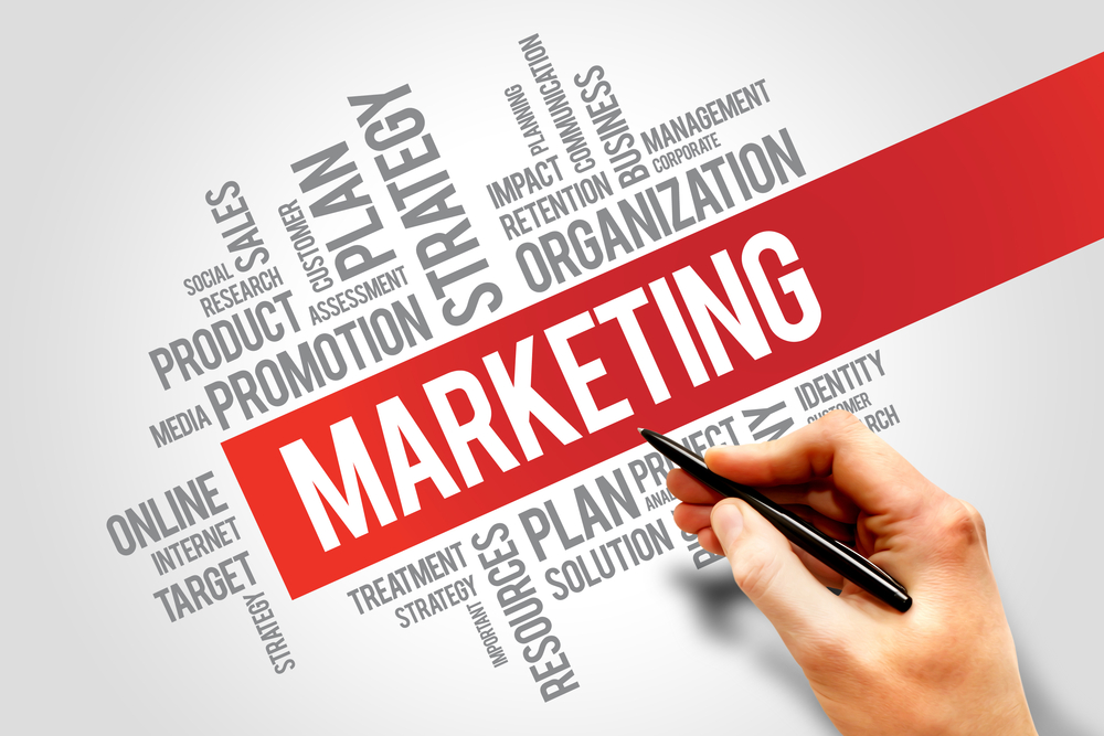 are you a marketing expert