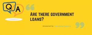 Are there government loans