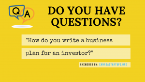 write a business plan for an investor