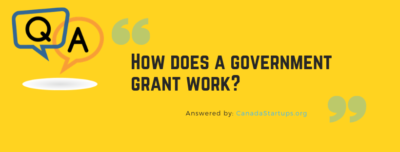 How does a government grant work